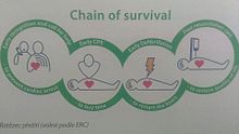 chain-of-survival